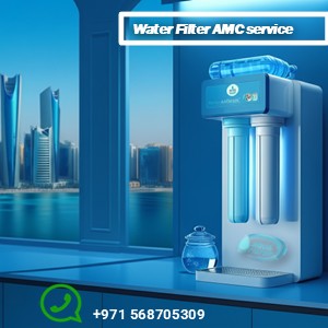 Water filter AMC service